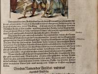 Йеронимус Бок и неговата „Kreütterbuch“ (Книга за билките) 8
